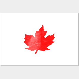 Maple Leaf 2 Posters and Art